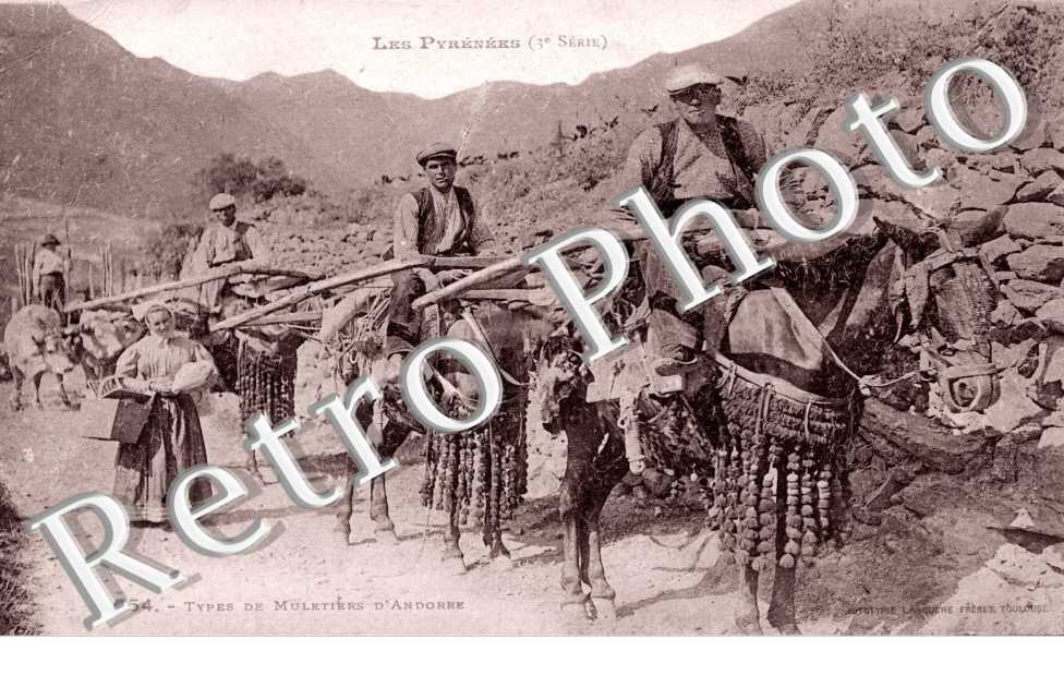 Types de Muletiers
