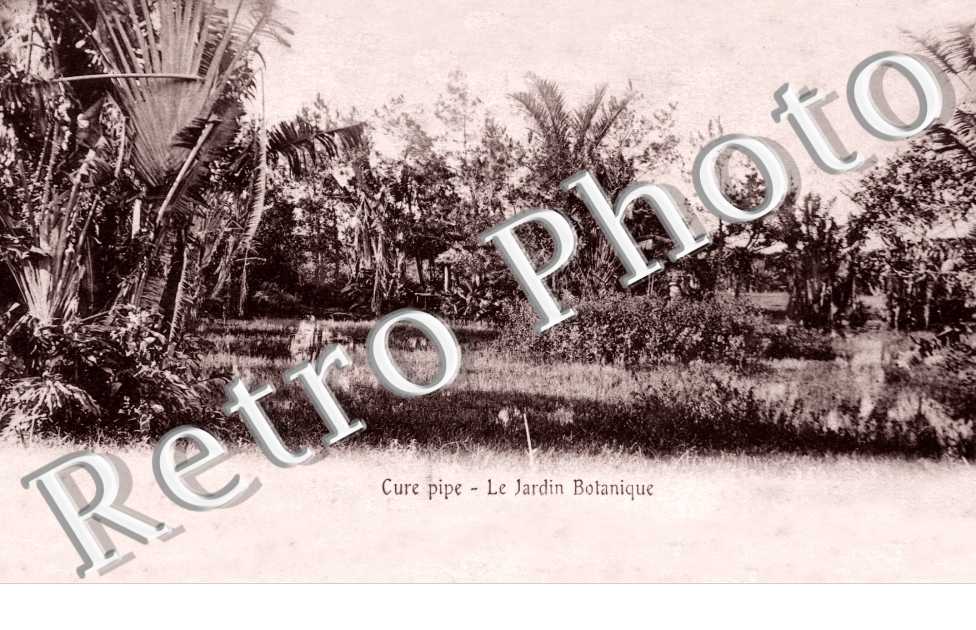 Cure pipe, le Jardin Botanique