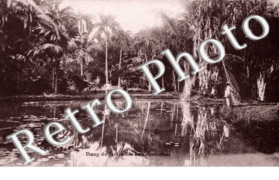 Etang du Jardin des Pamplemousses