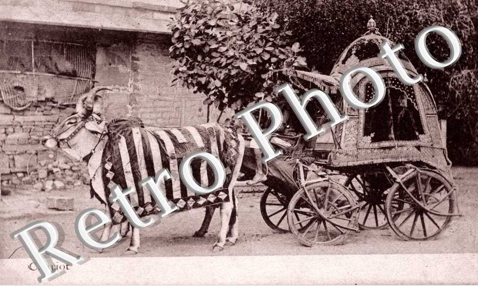 Chariot