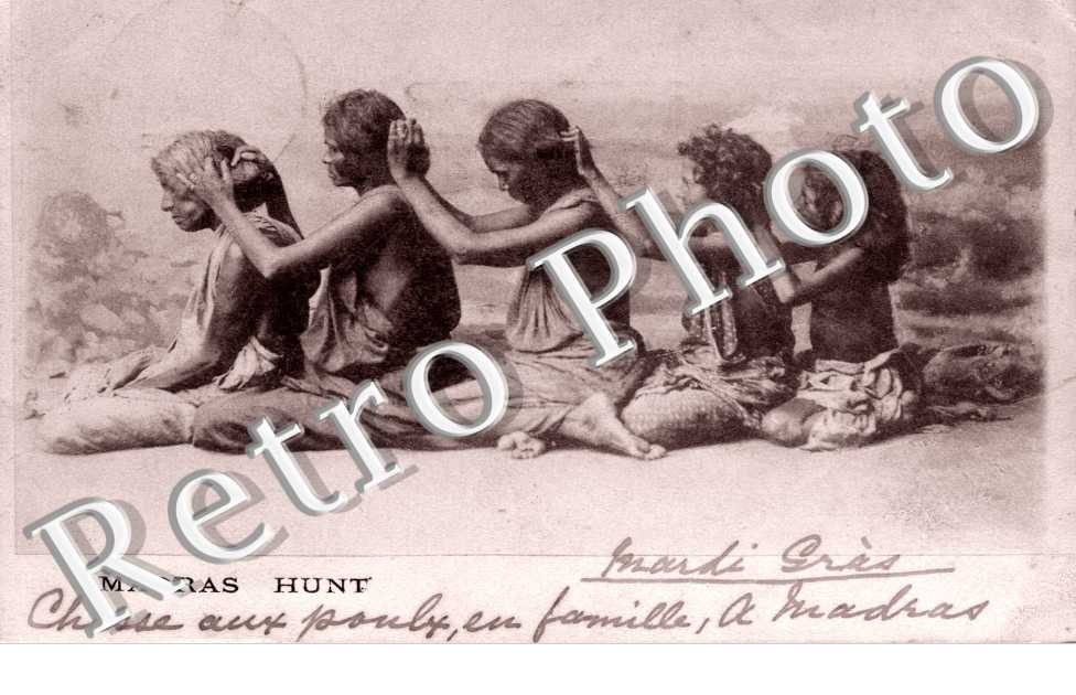 Madras Hunt - Chasse aux poux en famille