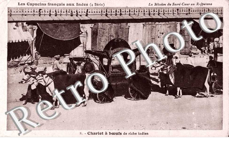 Chariot a boeufd de riche Indien