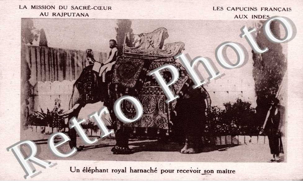 Un elephant royal