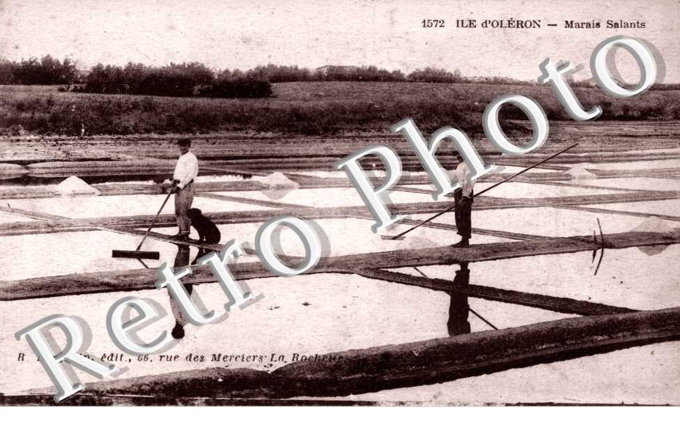 marais salants