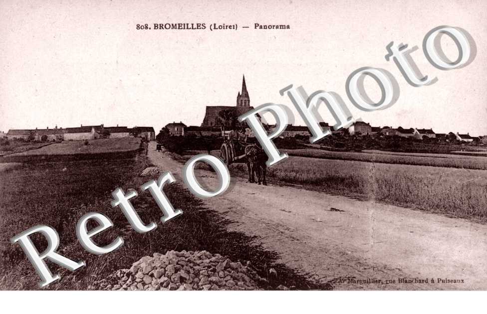 Panorama