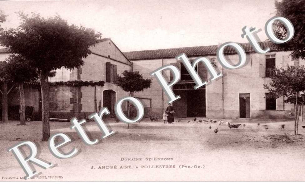 Domaine T-Edmond J. Andre Aine