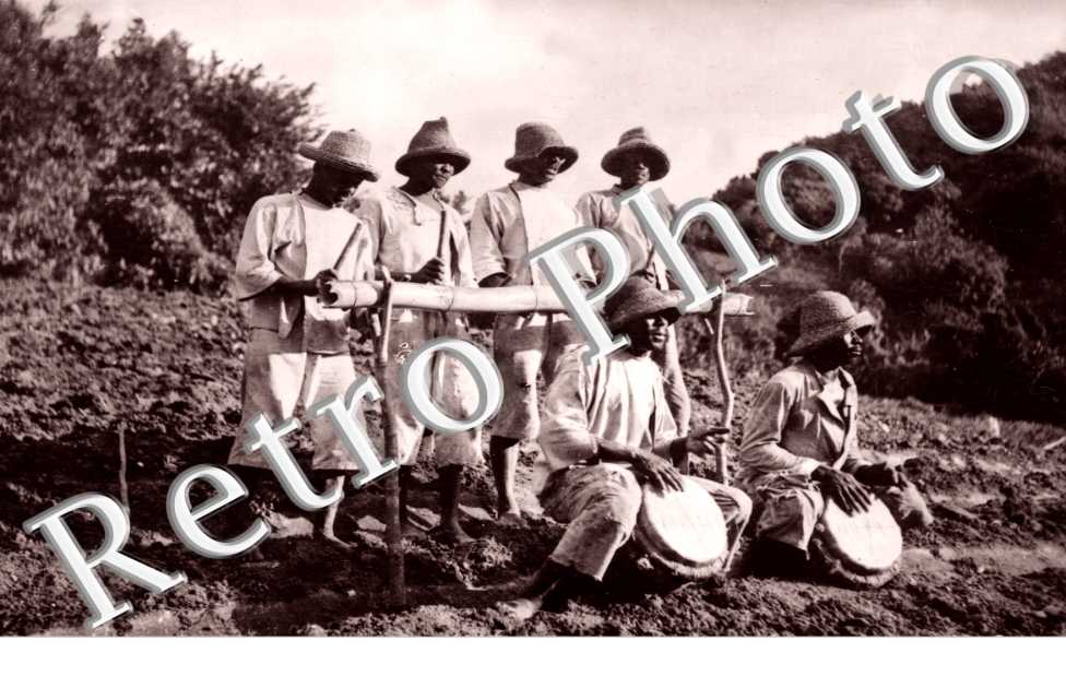 orchestre champetre
