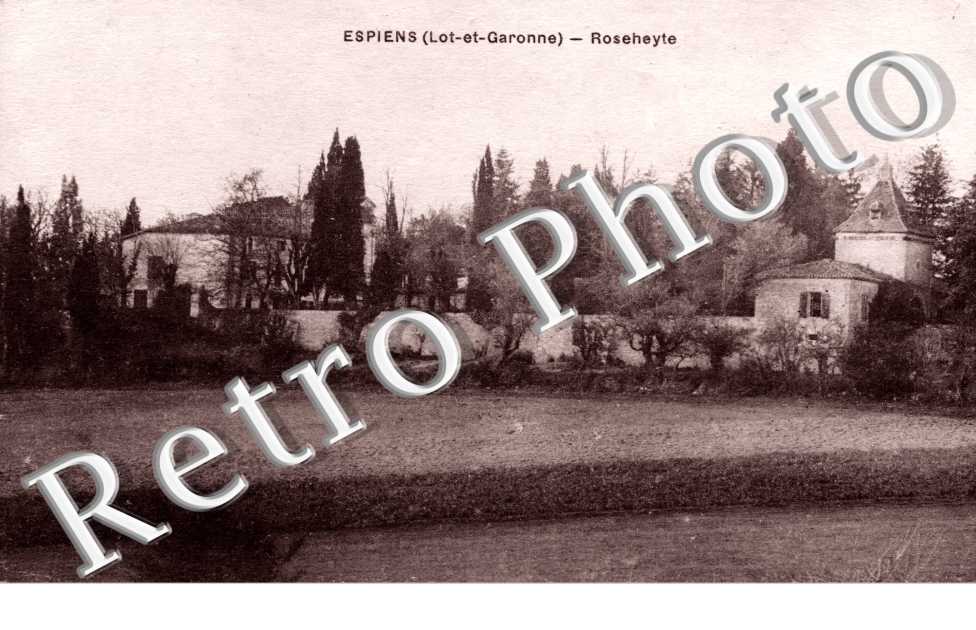 Roseheyte