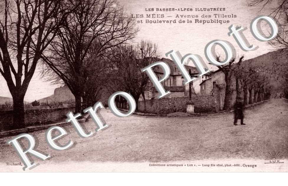Avenue des Tilleuls
