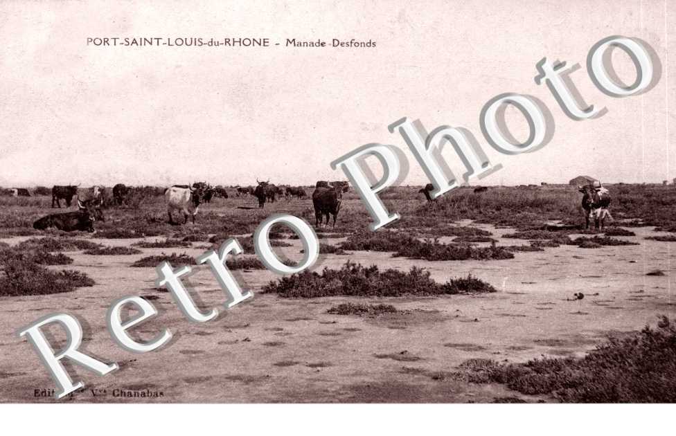 Manade Desfond