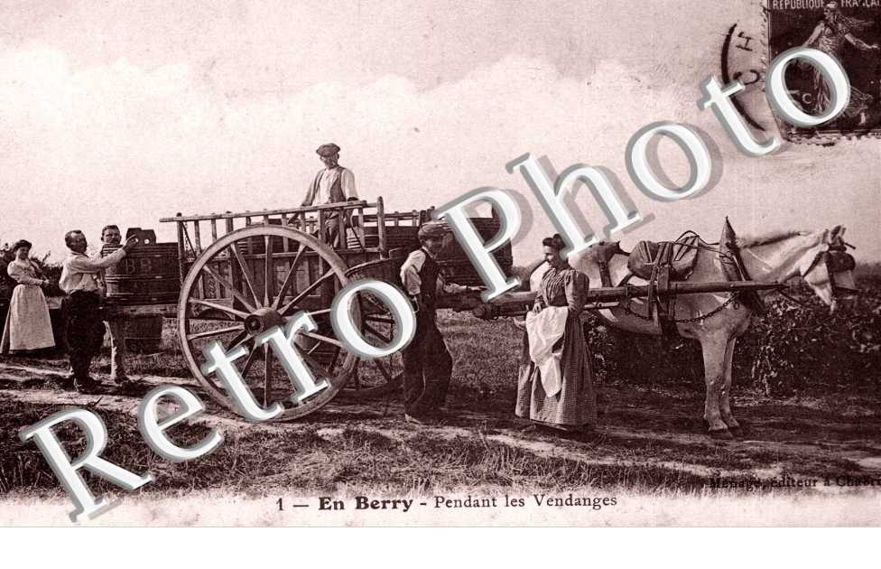 pendant les vendanges