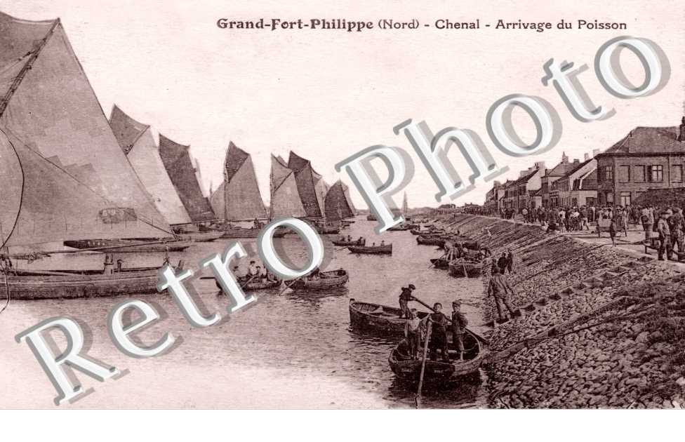 Arrivage du Poisson