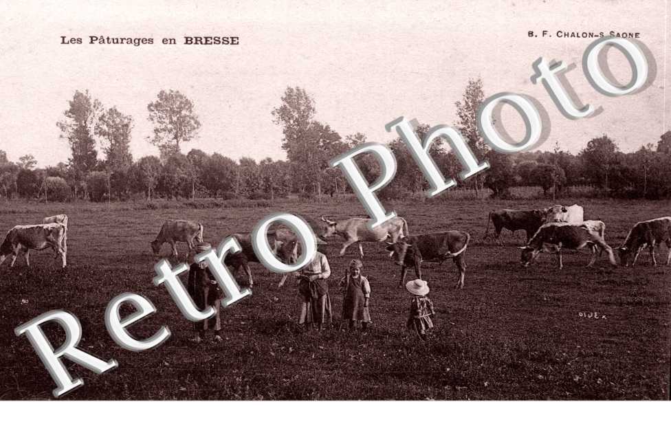 les Paturages