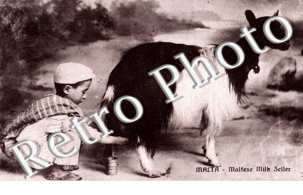 Maltese Milk Seller