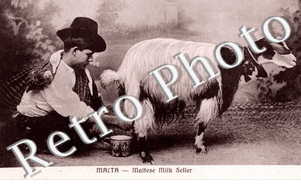 Maltese Milk Seller