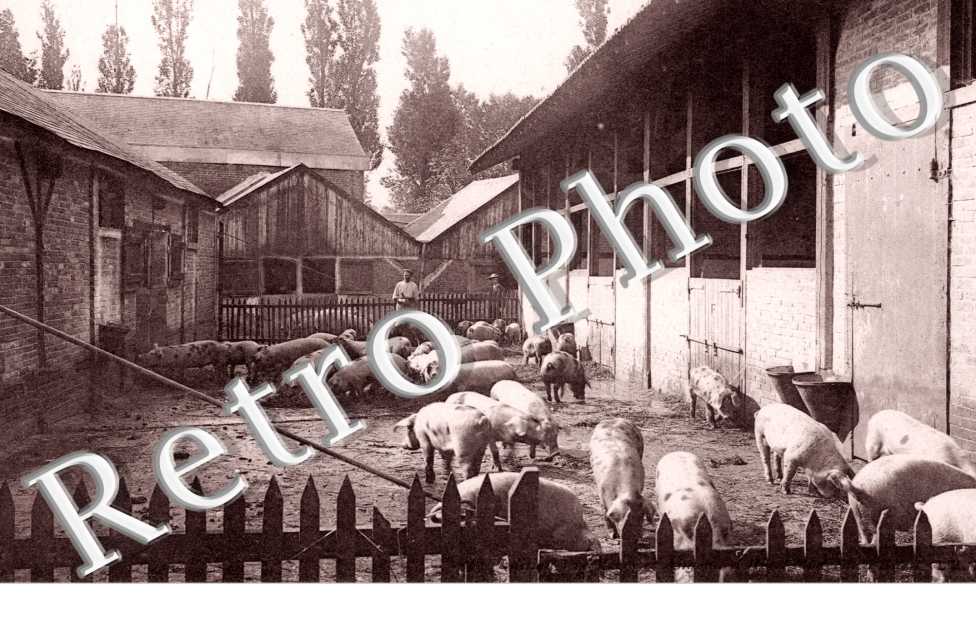 laiterie centrale - la porcherie