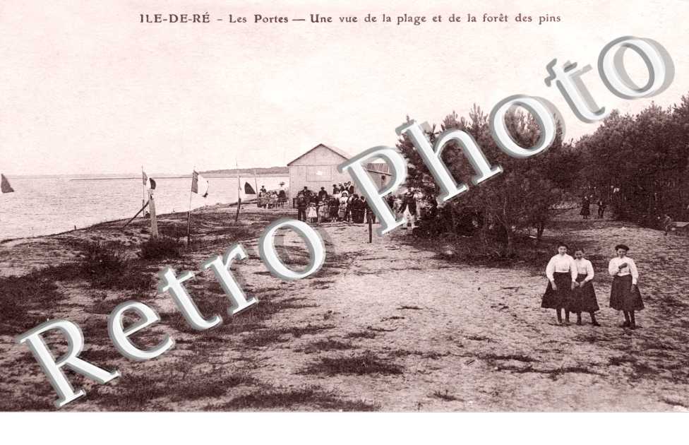 Une vue de la plage et de la foret des pins