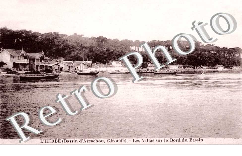 L'Herbe - les villas sur le bord du bassin