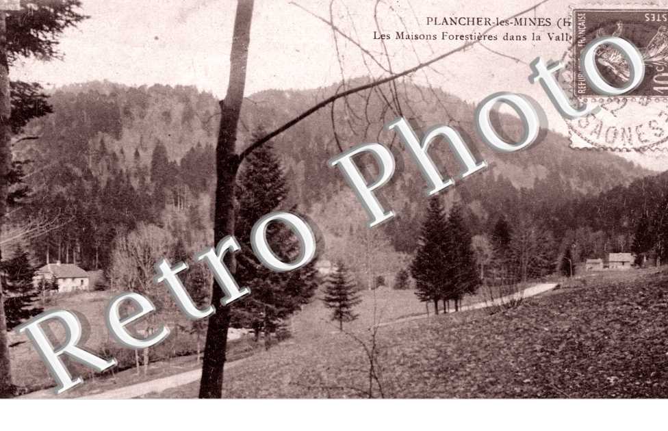 Les maisons forestieres dans la vallee