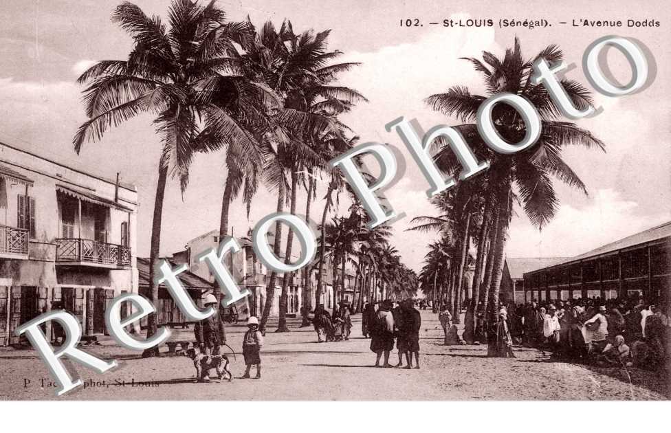  L'Avenue Dodds