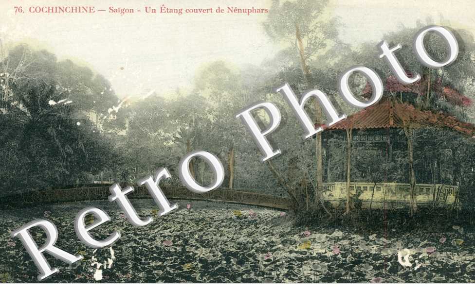 Saigon, un Etang couvert de Nenuphars