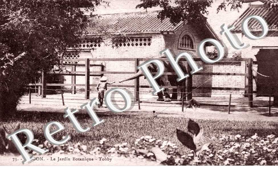 Saigon, Jardin Botanique, Tobby