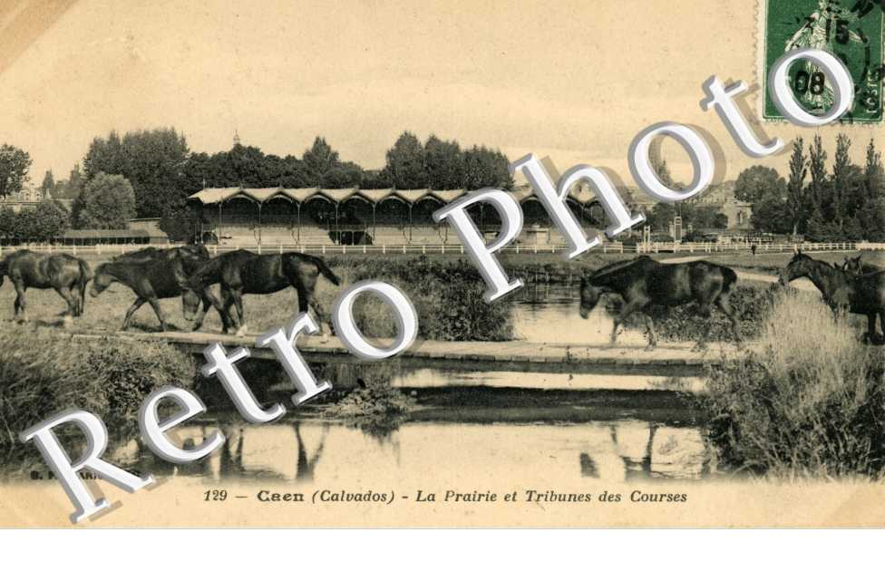 la Prairie et Tribune des Courses