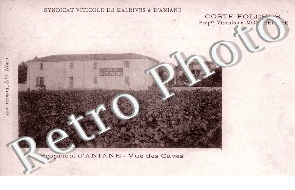 Syndicat viticole de Malrives & d'Aniane  COSTE-FOLCHER Propr Viticulteur  Vue des caves