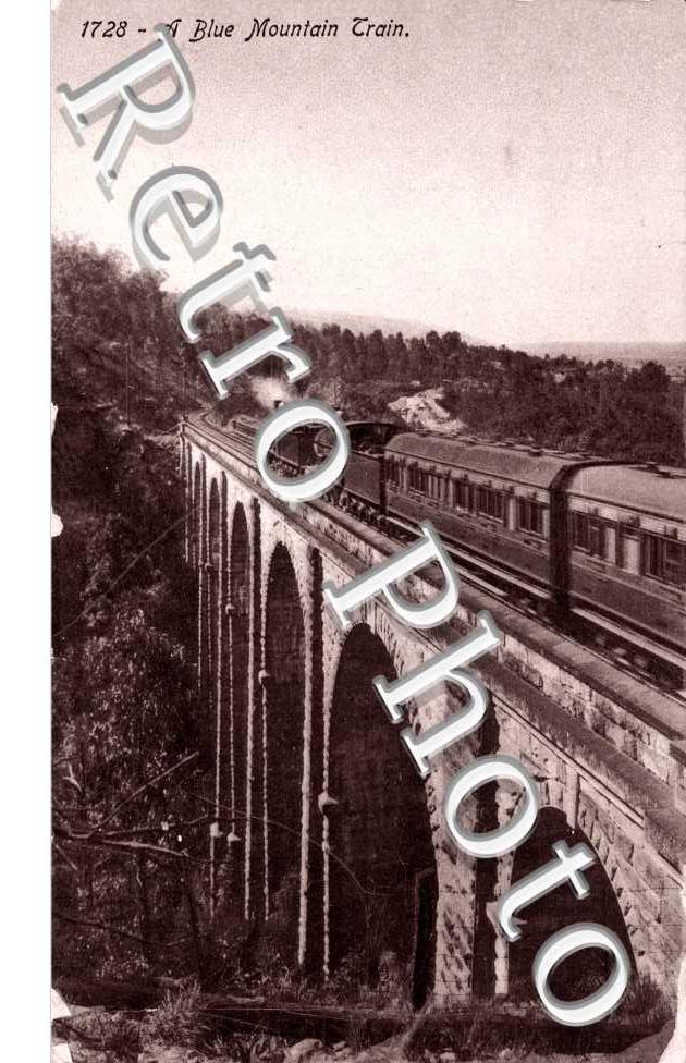 A Blue Mountain Train