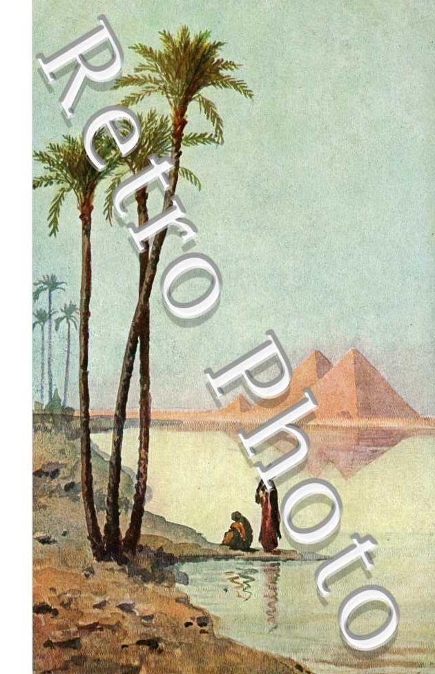 Paysage