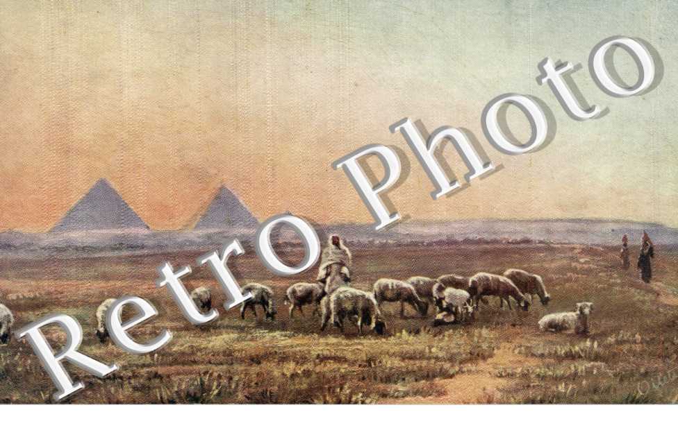 Pasturing, Near the Pyramids