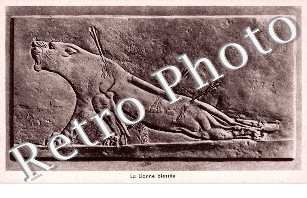 La Lionne blessee