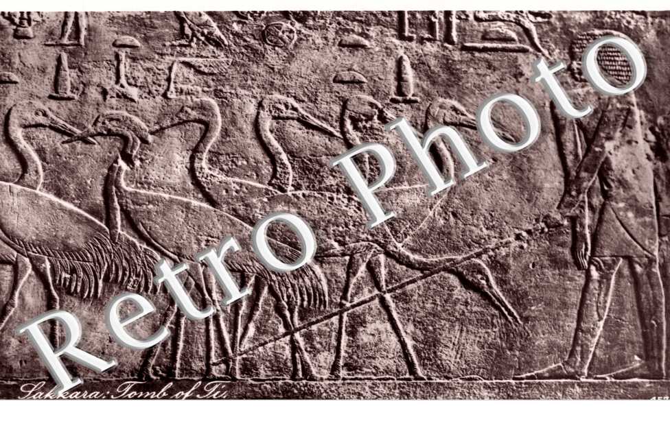 Sakkara : Tomb of Ti