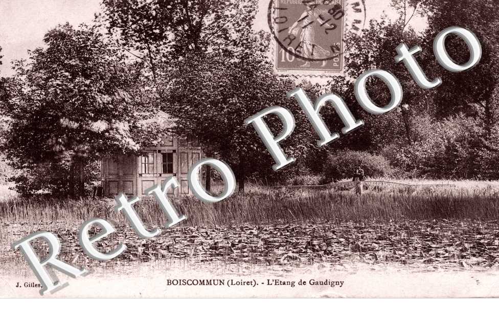 l'etang de Gaudigny