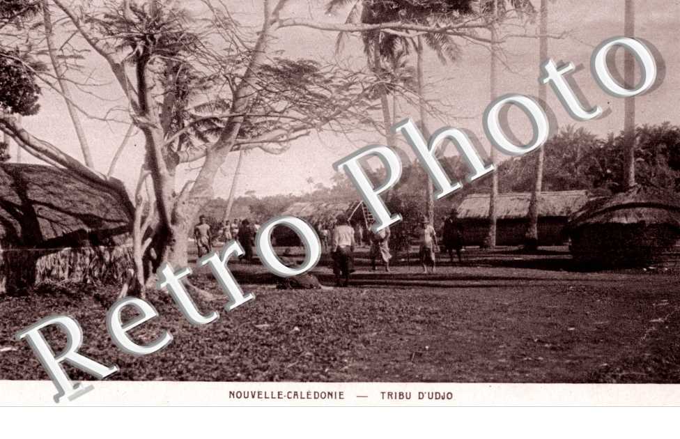 Tribu d'Udjo