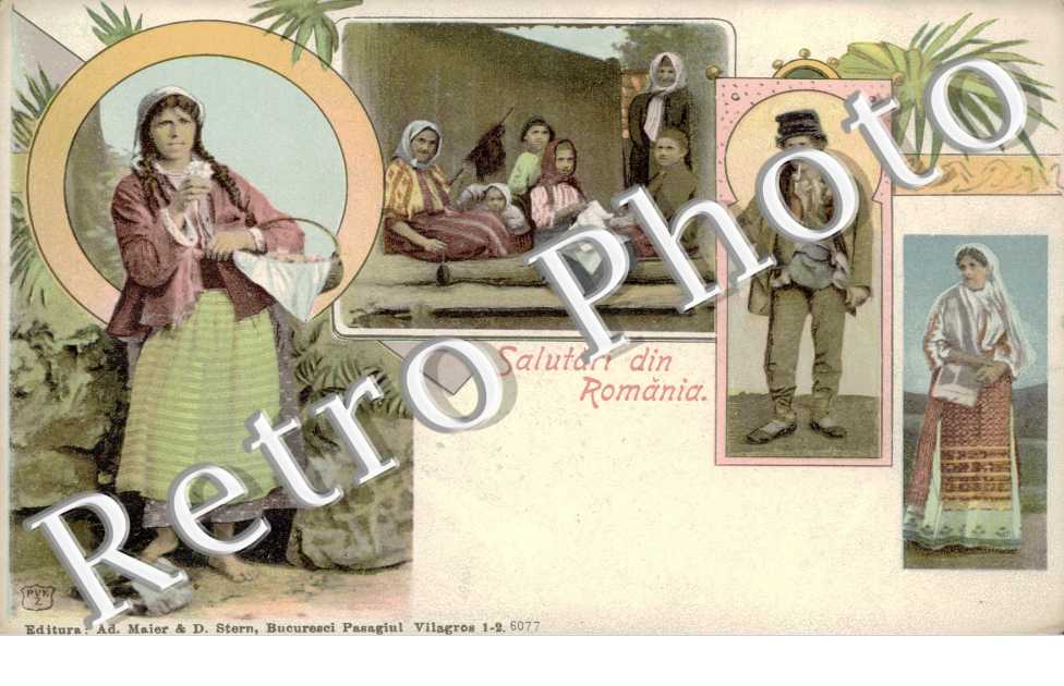 types d'habitants