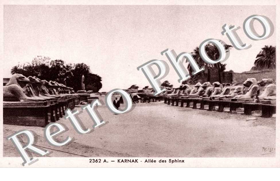 Allee des Sphinx