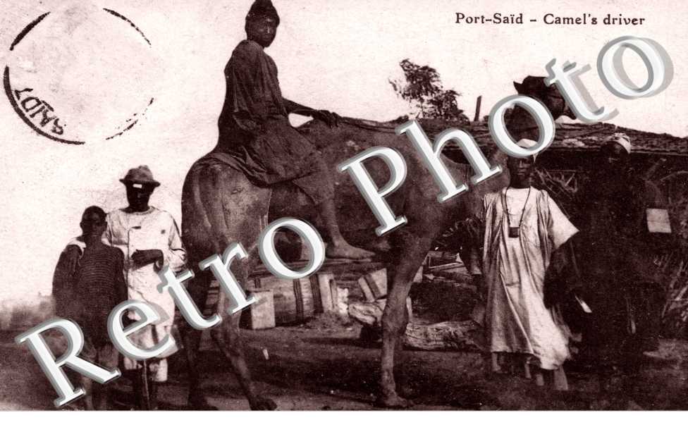 Camel's driver