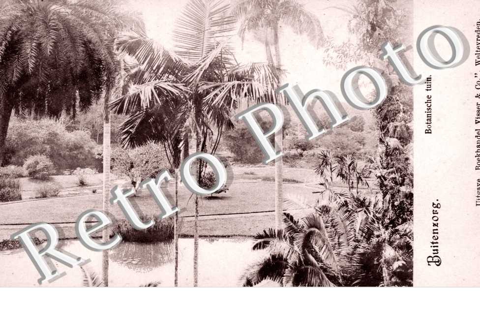 Buitenzorg, Botanische tuin