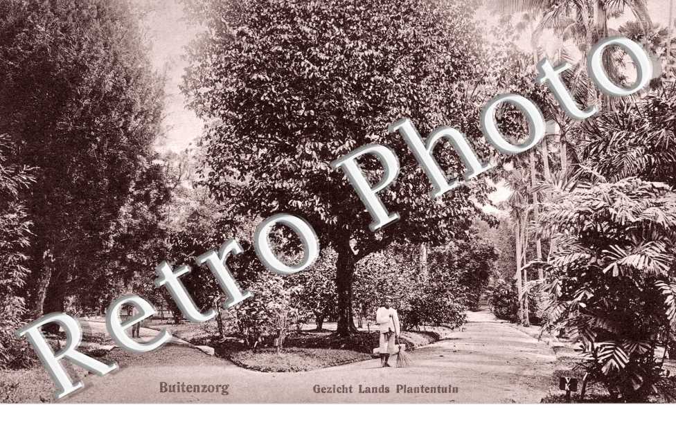 Buitenzorg, Gezicht Lands Plantentuin