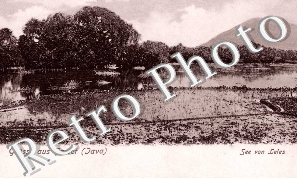 See von Leles