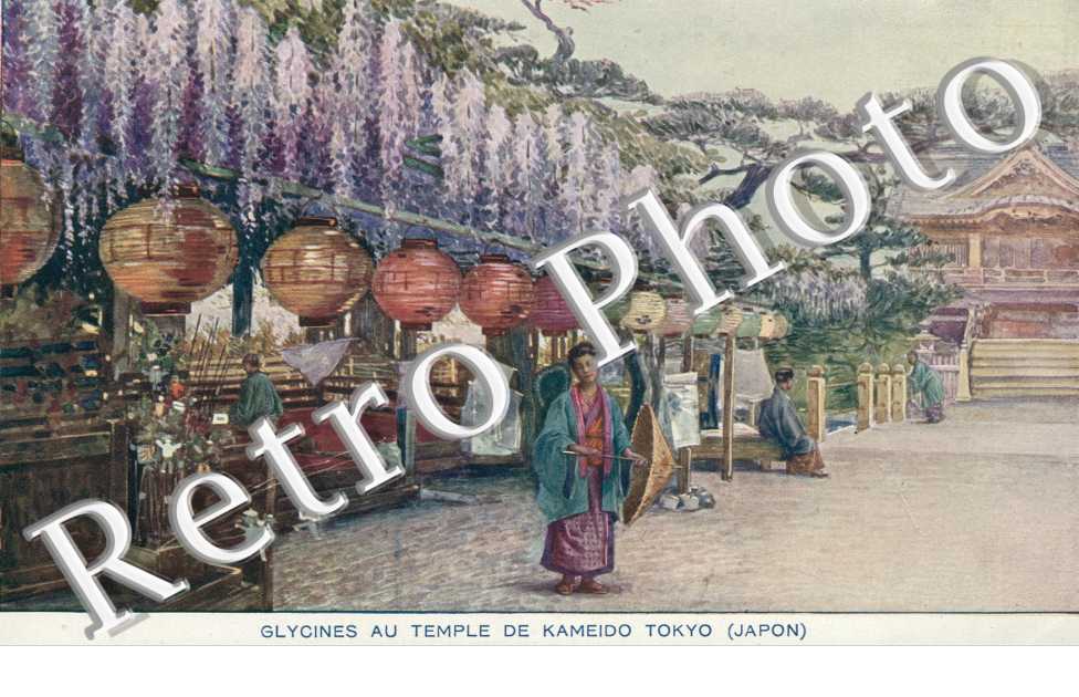 Glycines au Temple de Kameido