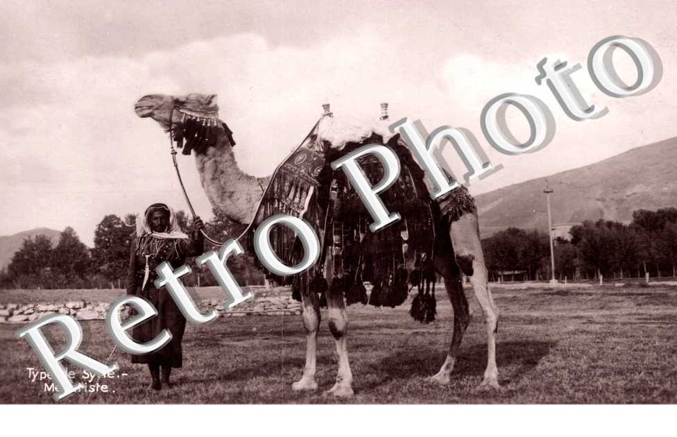 Mehariste