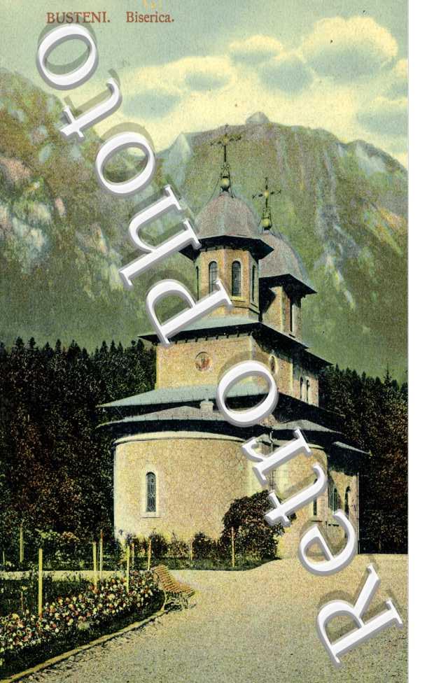 Biscerica