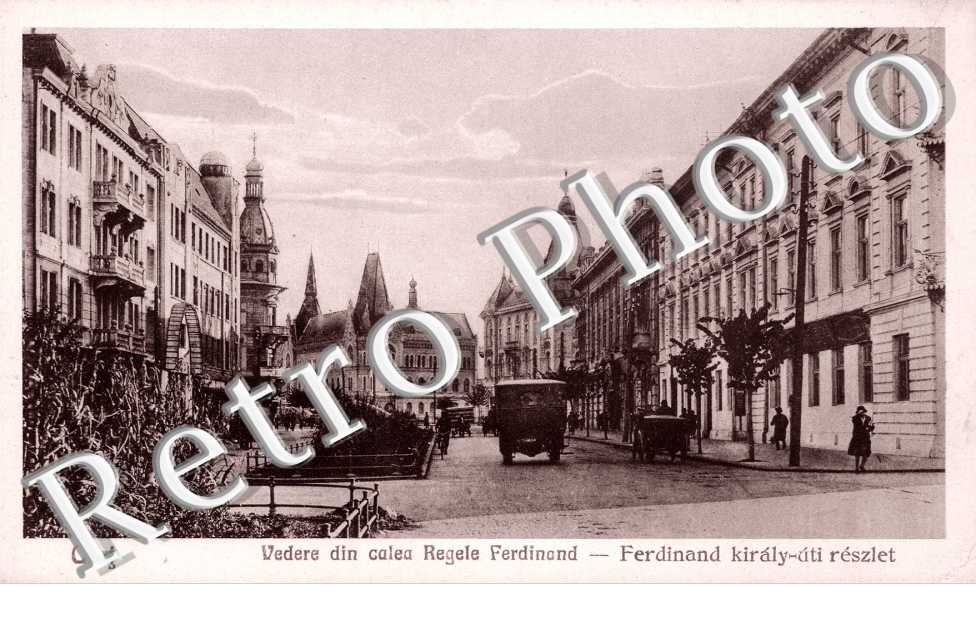 Vedere din calea Regele Ferdinand