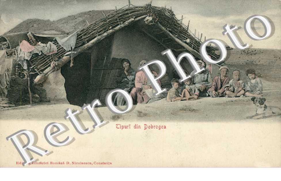 Tipuri