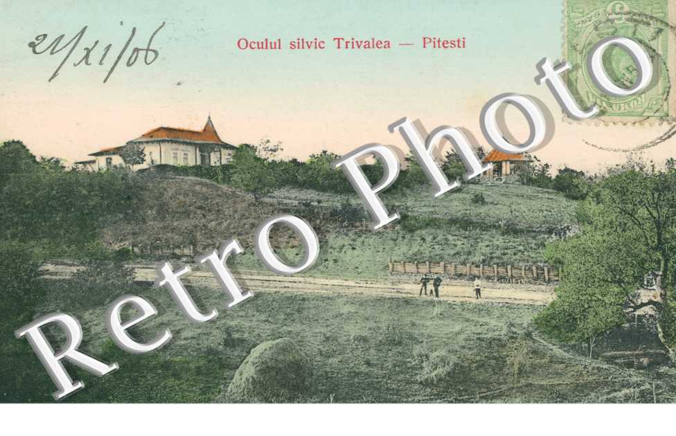 Oculul silvic Trivalea