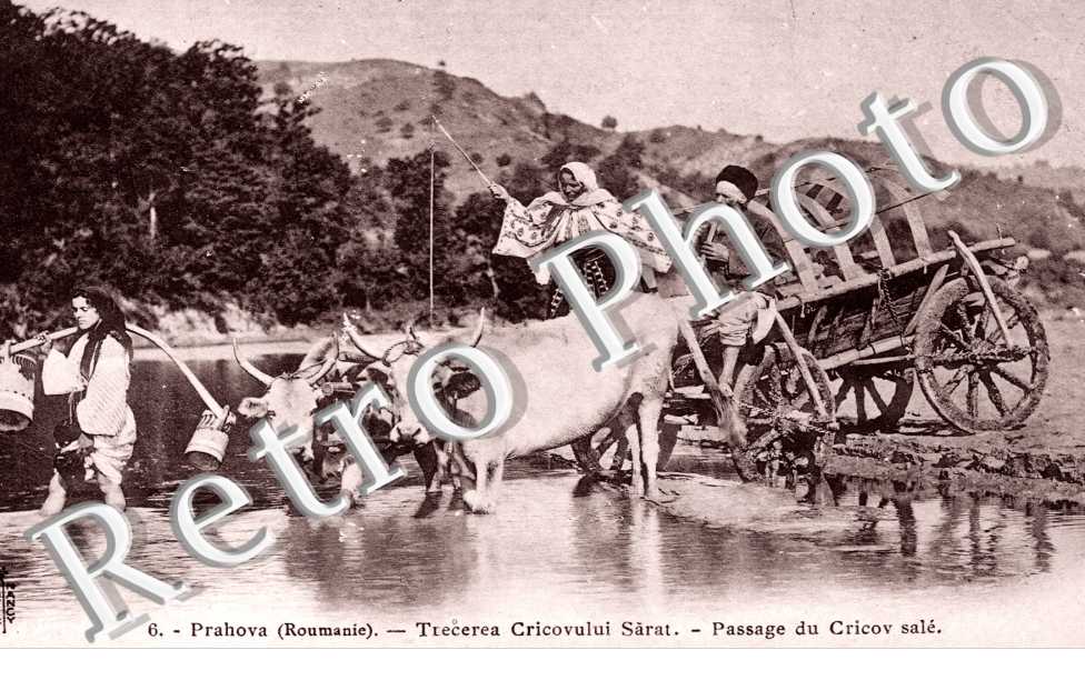 Trecerea Cricovului Sarat