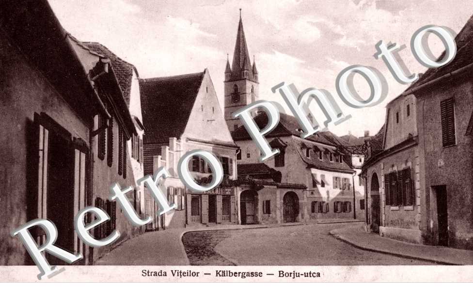 Strada Viteilor