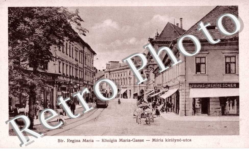 Str. Regina Maria